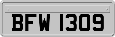 BFW1309