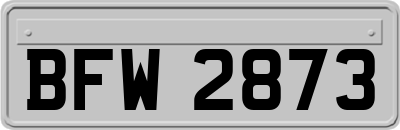 BFW2873