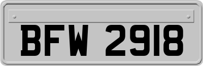 BFW2918