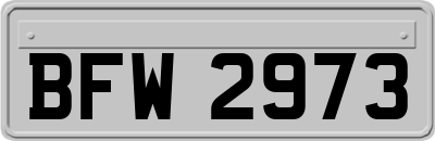 BFW2973