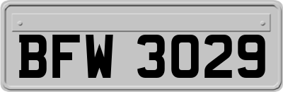 BFW3029