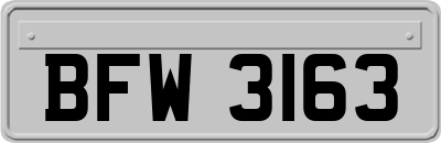 BFW3163