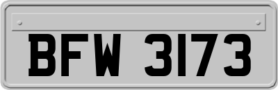 BFW3173