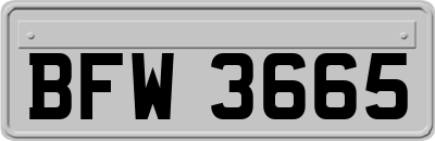BFW3665