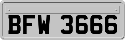 BFW3666