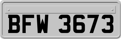 BFW3673