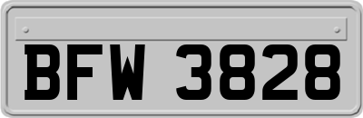 BFW3828
