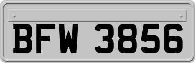 BFW3856