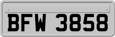 BFW3858