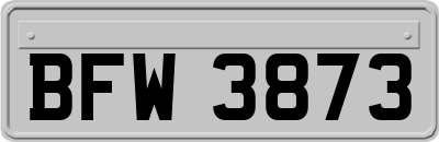 BFW3873