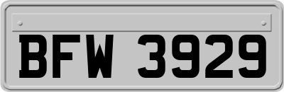 BFW3929