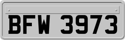 BFW3973