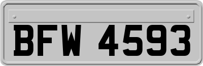 BFW4593