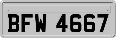 BFW4667