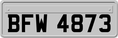BFW4873