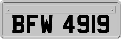 BFW4919