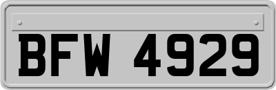 BFW4929