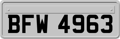 BFW4963