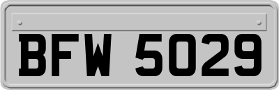 BFW5029