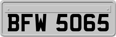 BFW5065
