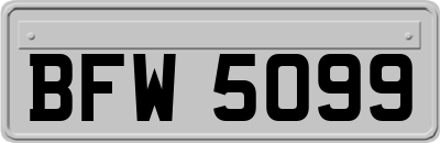 BFW5099