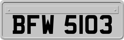 BFW5103