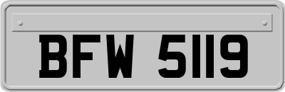BFW5119