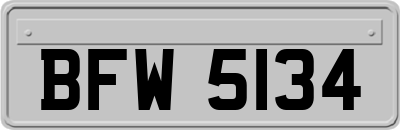 BFW5134