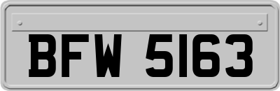 BFW5163