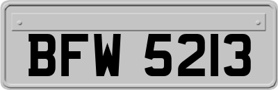BFW5213