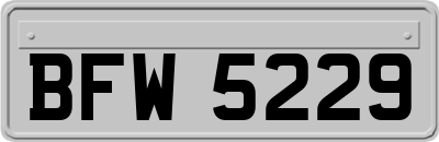 BFW5229