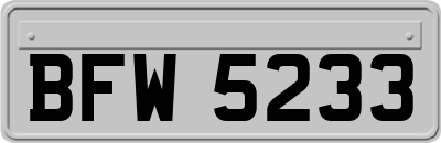 BFW5233