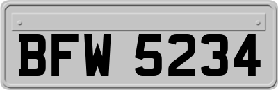 BFW5234