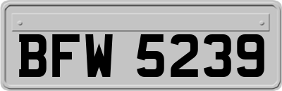 BFW5239