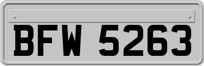 BFW5263