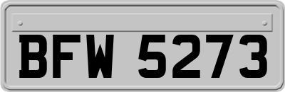 BFW5273
