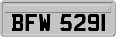 BFW5291