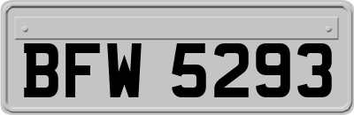 BFW5293