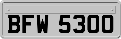 BFW5300