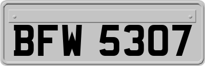 BFW5307
