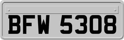 BFW5308