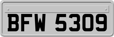 BFW5309