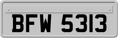 BFW5313