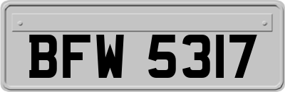 BFW5317