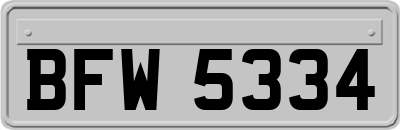 BFW5334