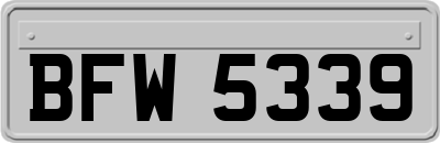 BFW5339
