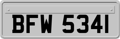 BFW5341