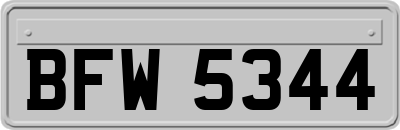 BFW5344