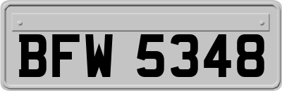 BFW5348