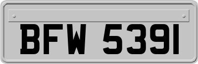 BFW5391